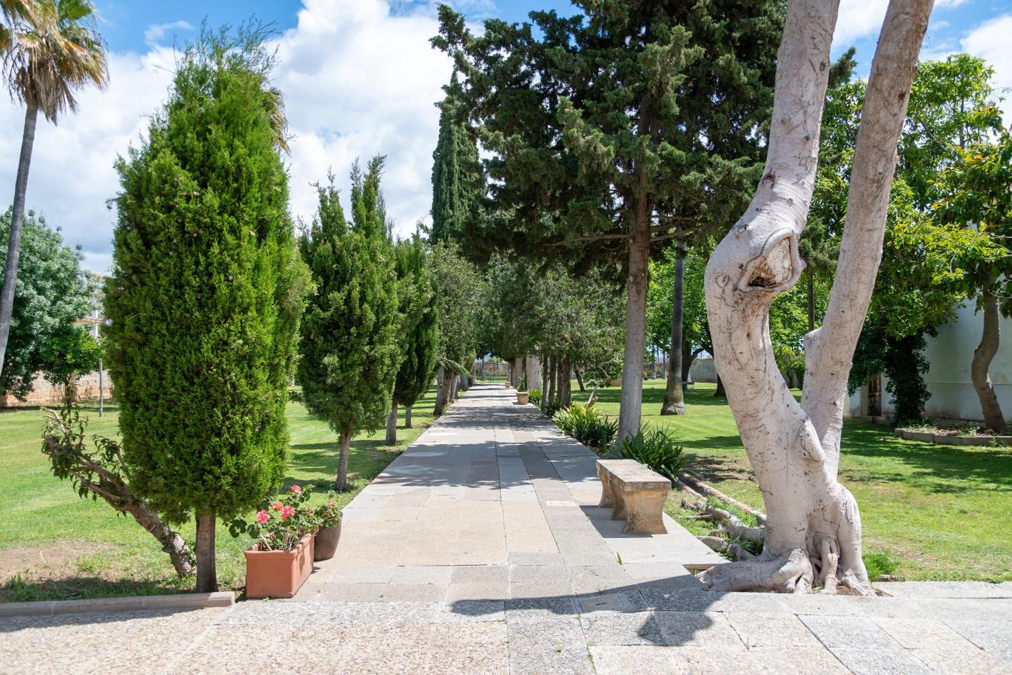 Moli Dels Reis Villa
